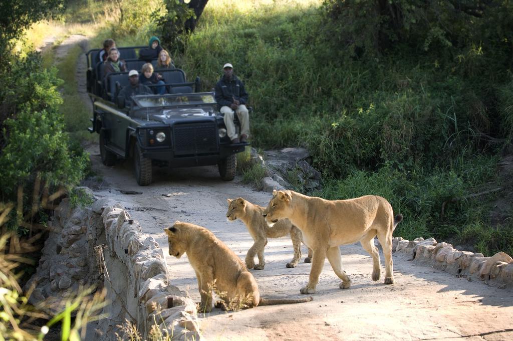 Lion Sands - Tinga Lodge Скукуза Экстерьер фото